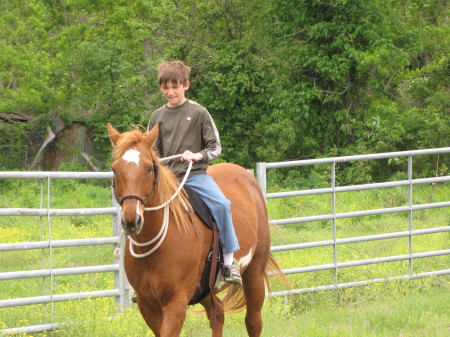 Horse back Riding