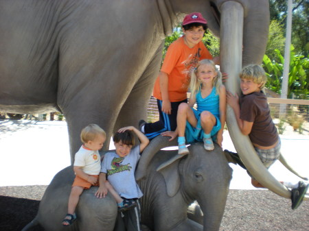 Grandkids at the S.D. Zoo