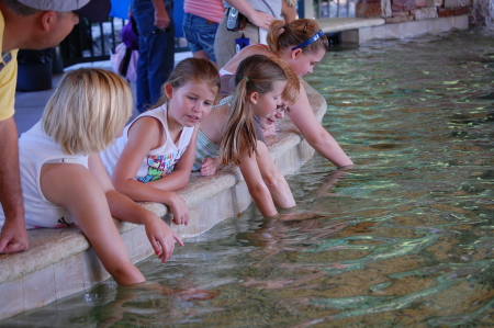 St. Louis Zoo