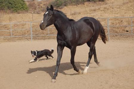 Me and My Shadow