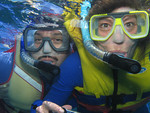 Snorkeling The Great Barrier Reef, Cairns AU