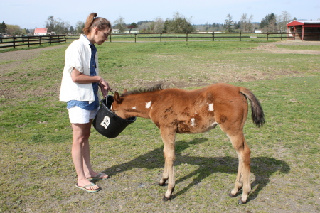 three week old