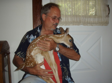 Holding a deerest