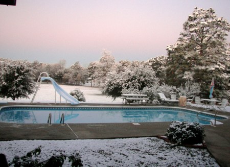 My backyard view of snow