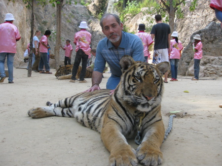 Tiger Temple, outside Kanchanaburi, Thailand