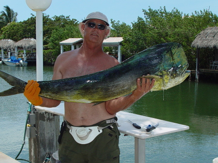 BIG DOLPHIN 54LBS CAUGHT MAY 08