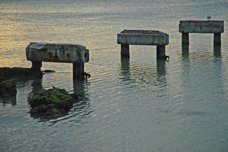 Old Pier Supports