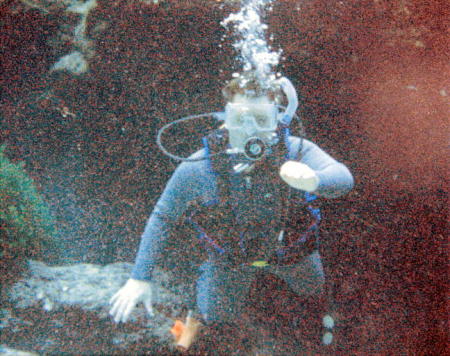 Diving in Ginny Springs