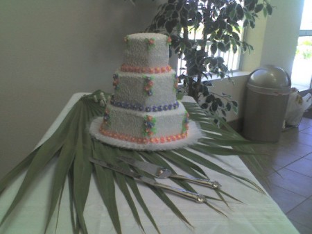 A wedding cake I made for a friend Aug '08