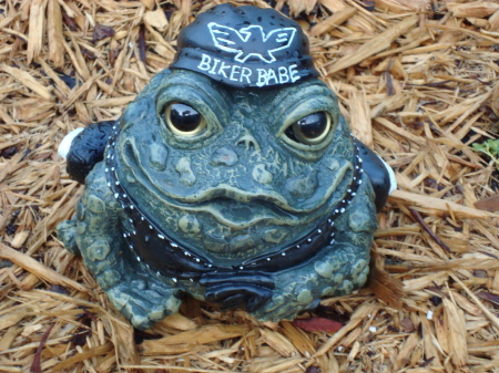 Bikerbabe Frog