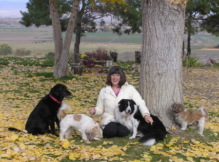 Cat and her dogs