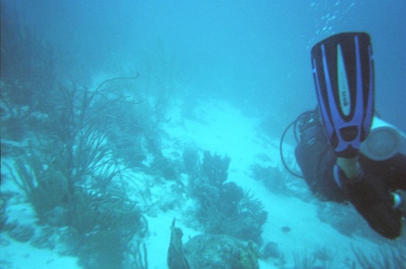 Scuba Curacao