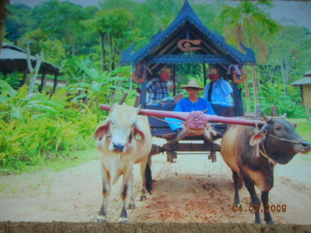 A rough ride in Phuket, Thailand 3-09