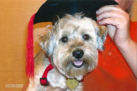 Beth Swanson's Classmates® Profile Photo
