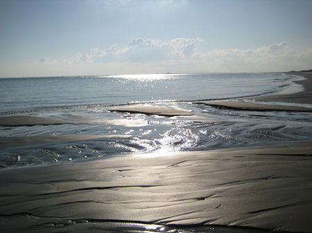 Charleston Beaches