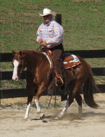 Paint Horse National 2009