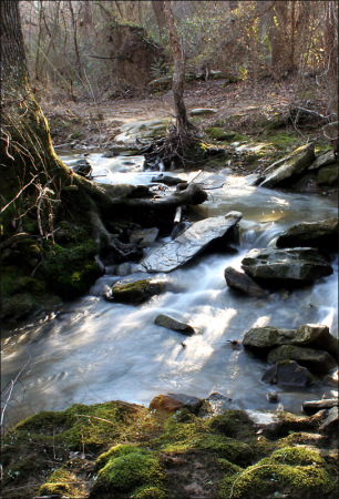 Poley Creek