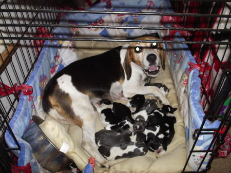 Caiylyn with her Babies July 24,2009