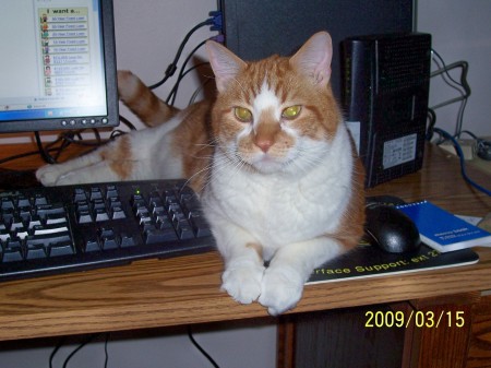 Guarding the keyboard