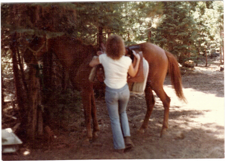 MY MOM'S HORSE, LIBERTY