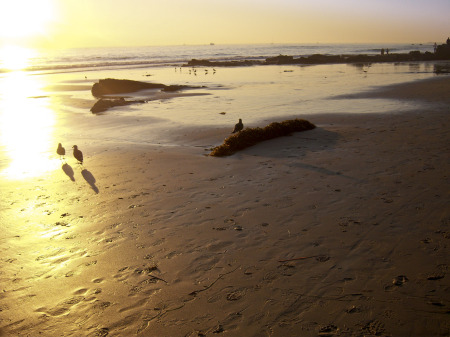 Southern California beach at sunset