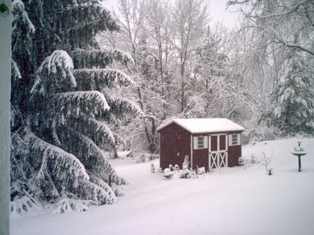 My backyard In Endwell, NY