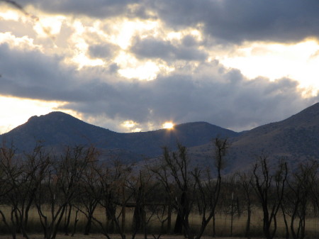 Backyard Sunset