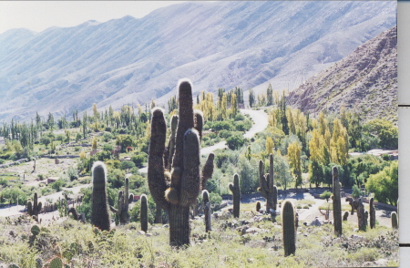 Northwestern Argentina