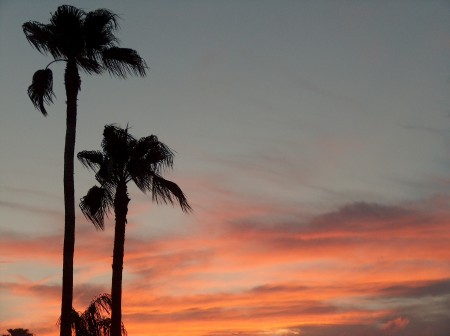 Sunset in AZ