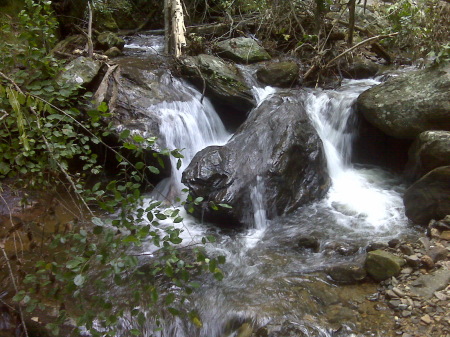 Helen Georgia at the Falls