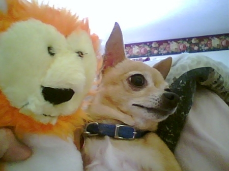 Rita with her Lion