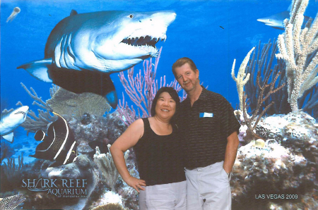 Shark Reef at Mandalay Bay, Las Vegas