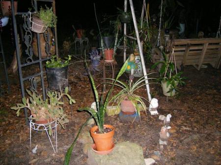 Another small part of garden area