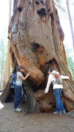 Charisma and Liane giving a tree a hug