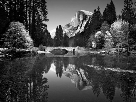 YOSEMITE TRIP