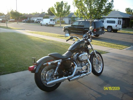 My sportster 883 low woooo hoooo 003