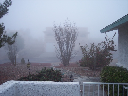 A rare fog in my desert front yard