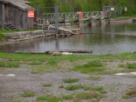 Hope's Mill Pond