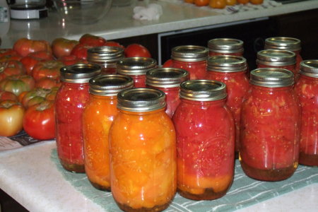 "canning" Tomatoes is fun! Not