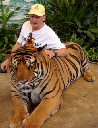 Art & Bengal Tiger  1
