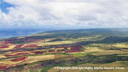 Farm Land on O'ahu's North Shore