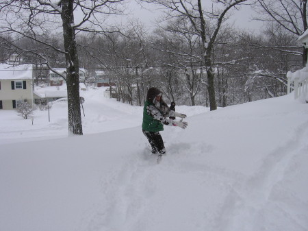 15.under the snow 02-26-2010