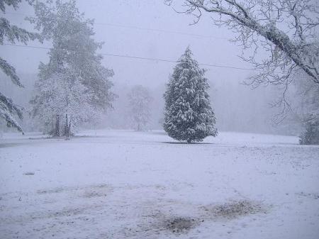 snow in south ga