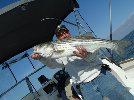 striper fishing in the bay