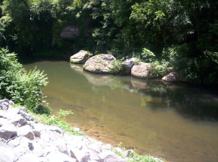 Creek behind the house