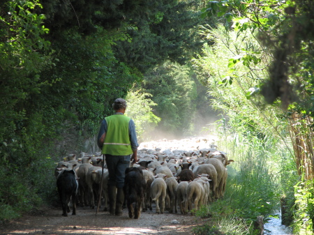 Captured on a drive in the countryside