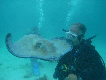 Stingray City