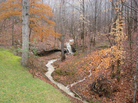 Waterfall in our backyard!