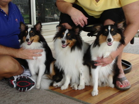 Sadie and babies