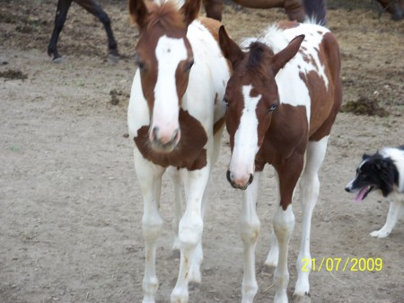 Spring Babies of 2009